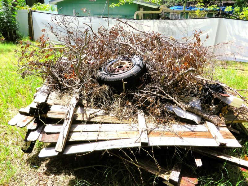 Brush Pickup Service