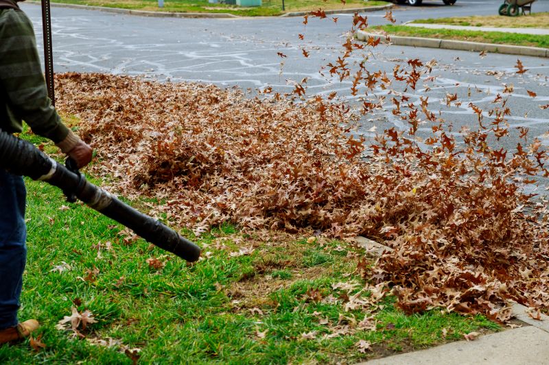Autumn Leaf Removal in Honolulu, HI