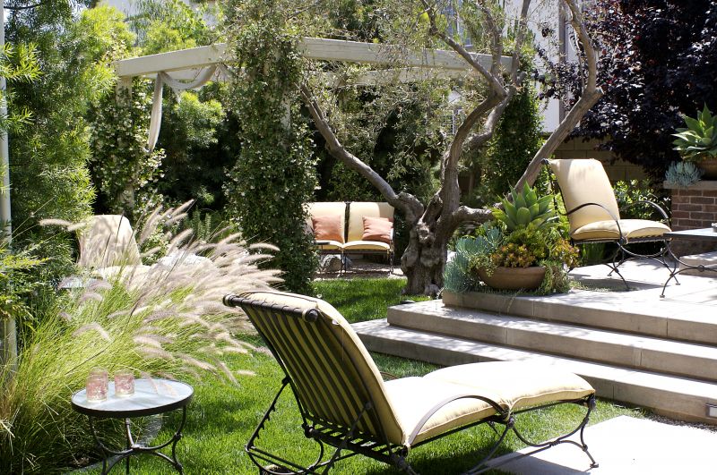 Backyard Remodeling in Honolulu, HI