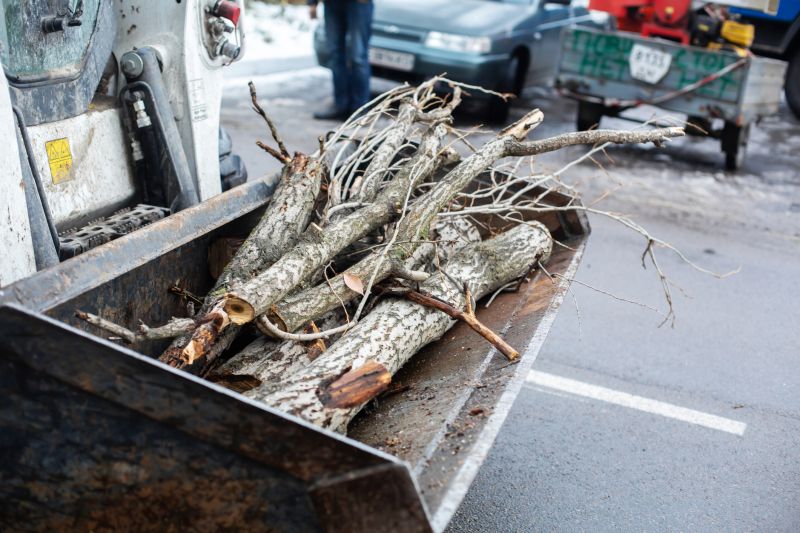 Heavy Branches and Hardwood Debris