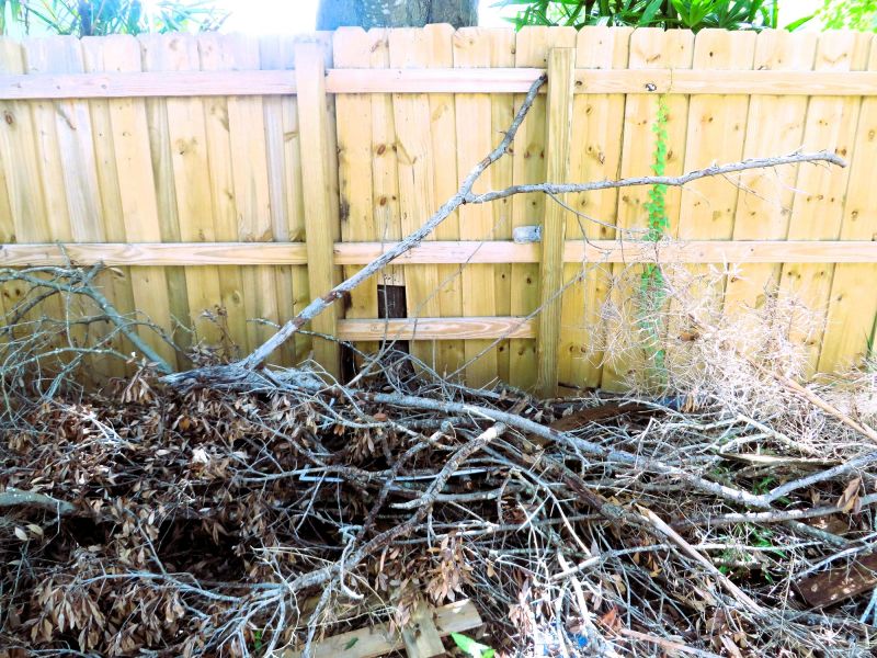 Storm Debris Removal