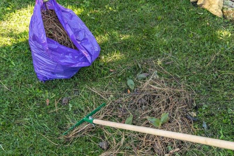 Yard Debris Collection