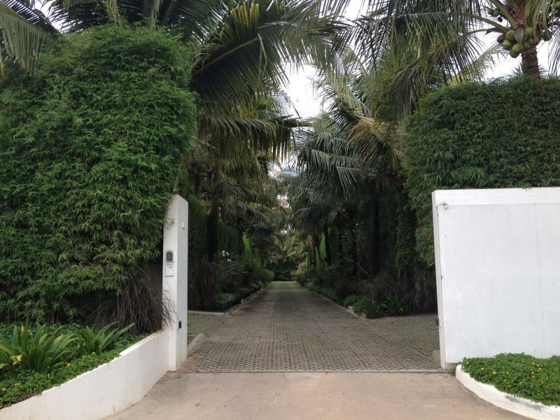 Bush Planting Service in Honolulu, HI