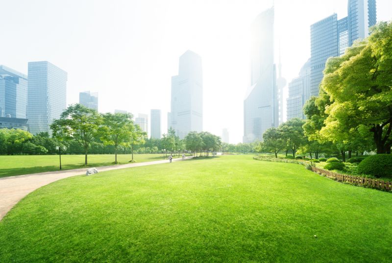 Commercial Gardening in Honolulu, HI