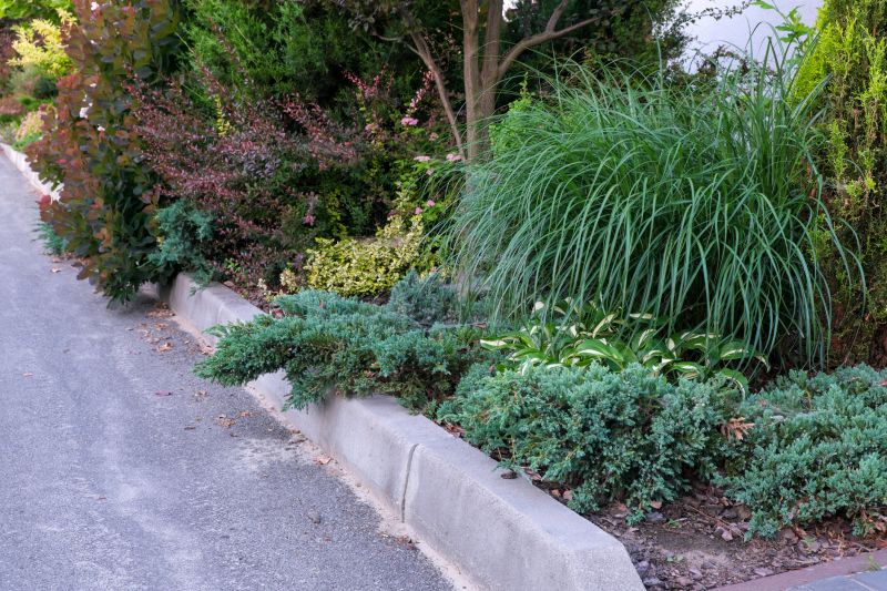 Concrete Curbing Installation in Honolulu, HI