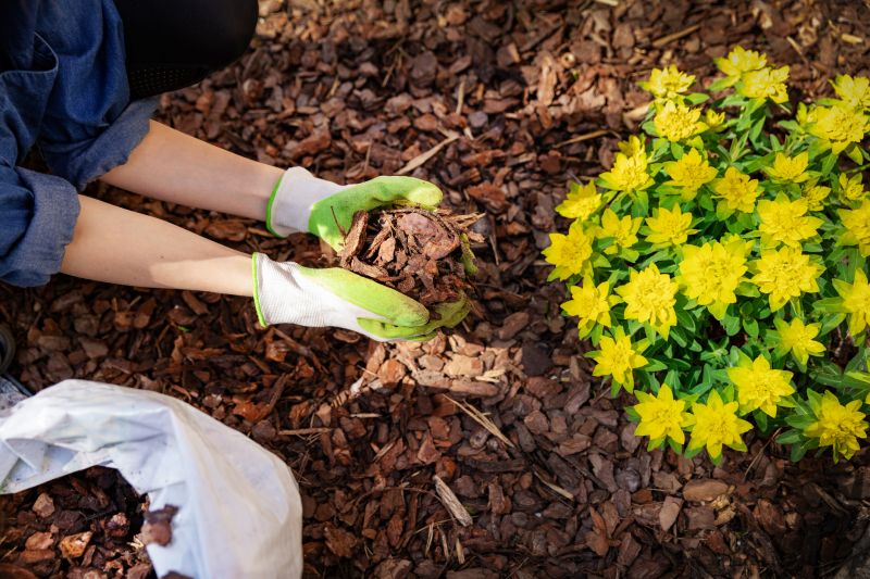 Cypress Mulch Installation in Honolulu, HI