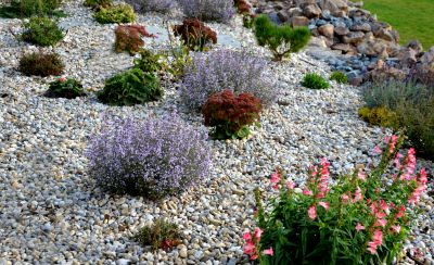 Dryscape Landscaping in Ventura County, CA