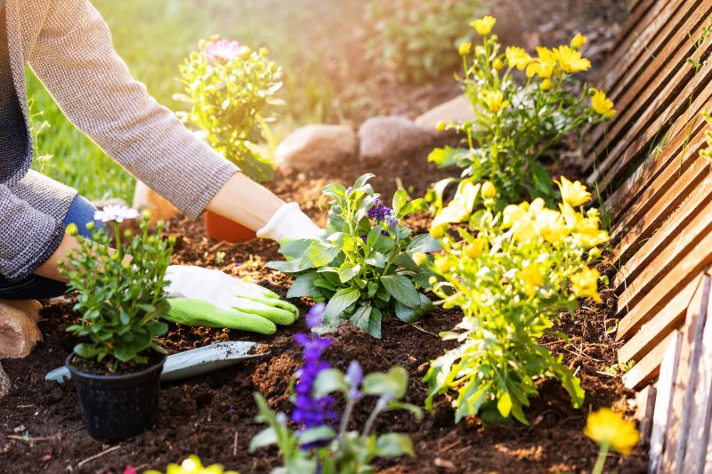 Flower Planting Service in Honolulu, HI