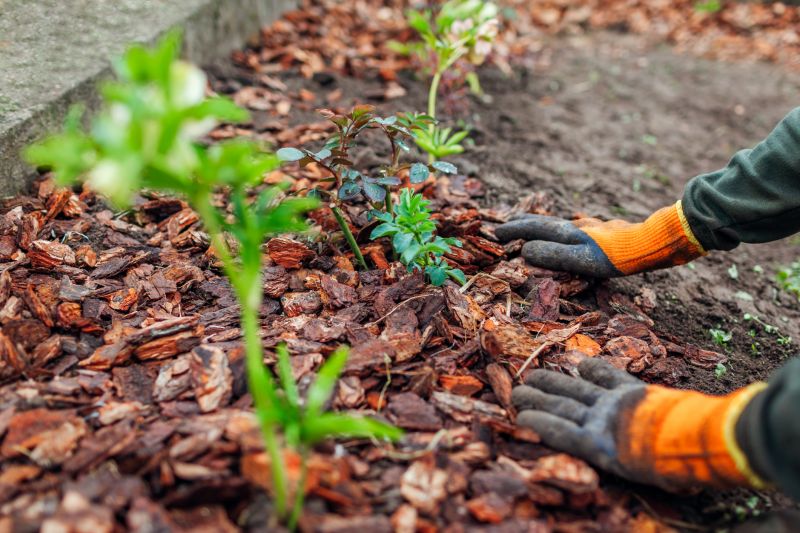 Garden Mulch Installation in Honolulu, HI