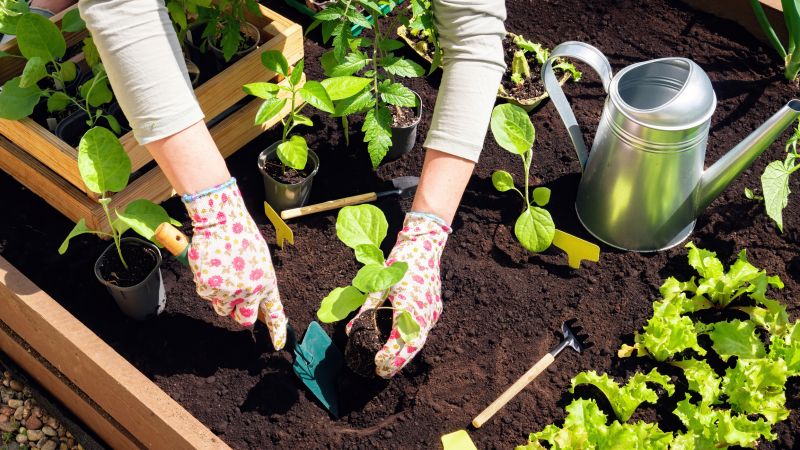 Ground Cover Planting in Ventura County, CA