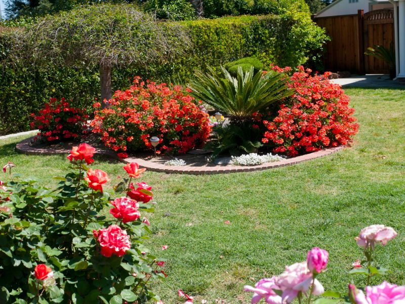 Hedge Planting in Ventura County, CA