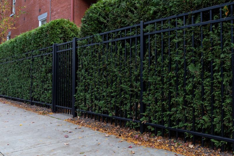 Hedge Replacement in Honolulu, HI