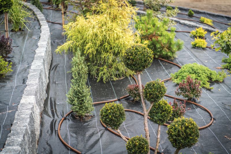 Landscaping Modification in Honolulu, HI