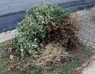Lawn Waste Removal in Ventura County, CA