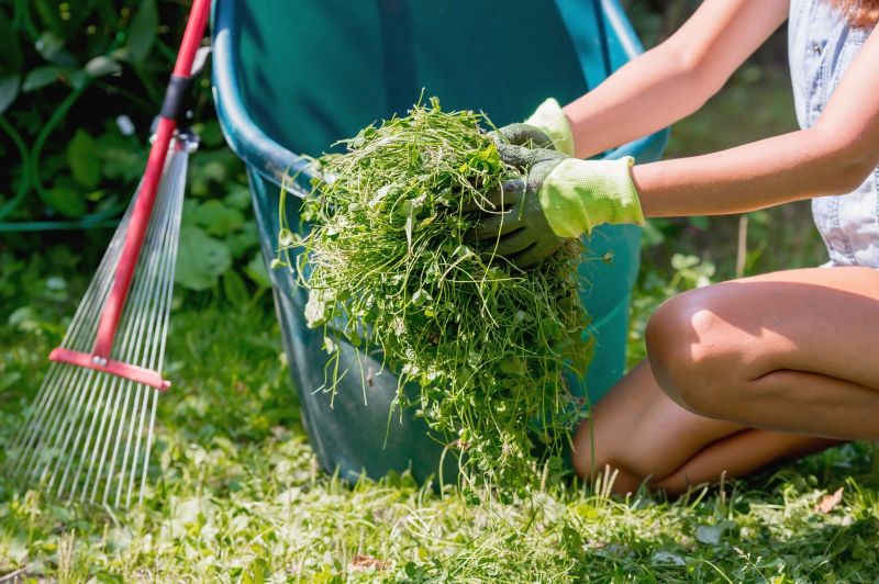 Leaf Cleanup Service in Ventura County, CA