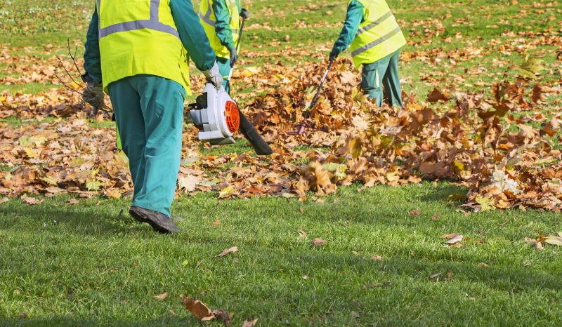 Leaf Cleanup Service in Ventura County, CA