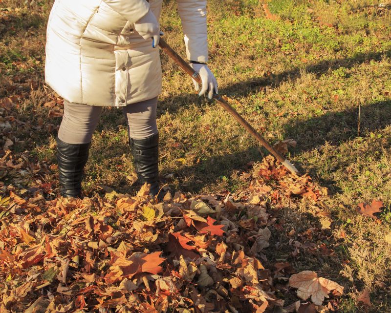 Leaf Raking Service in Honolulu, HI