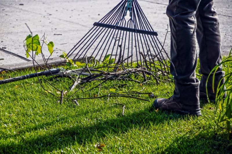 Leaf Raking Service in Honolulu, HI