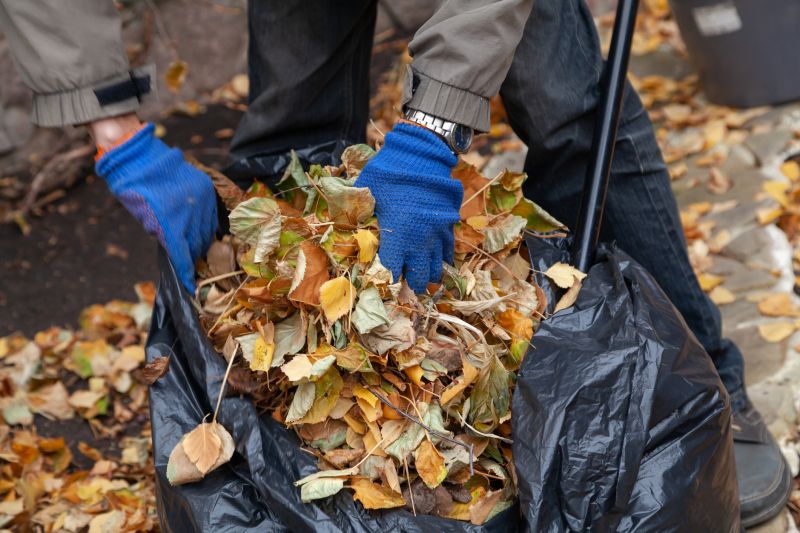 Leaf Removal in Honolulu, HI