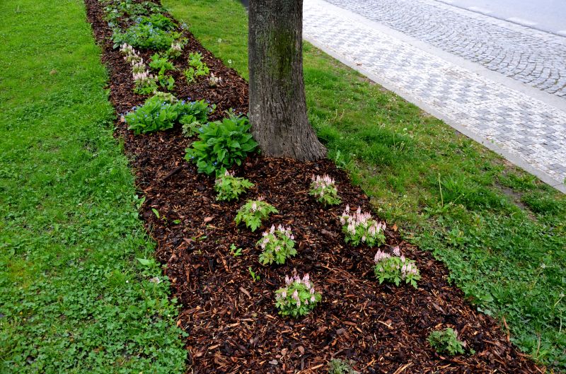 Organic Mulch Installation in Honolulu, HI