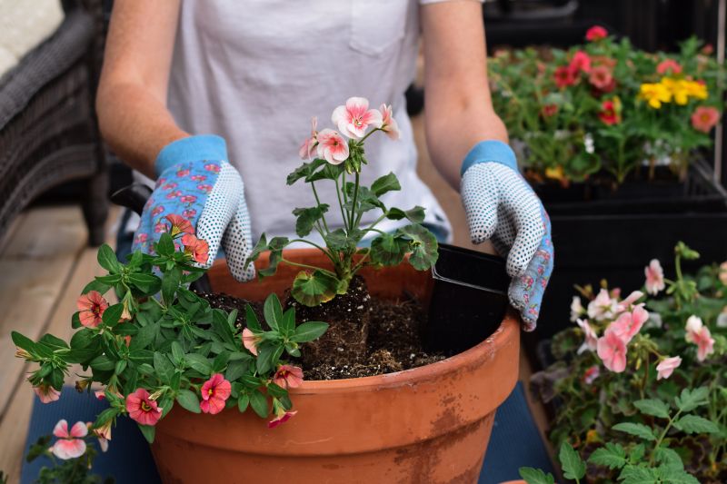 Perennials Planting in Honolulu, HI