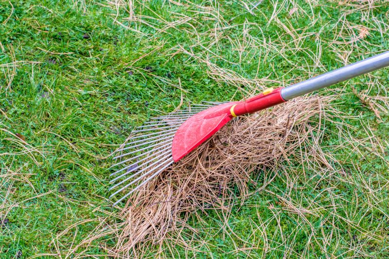 Pine Needles Removal in Honolulu, HI