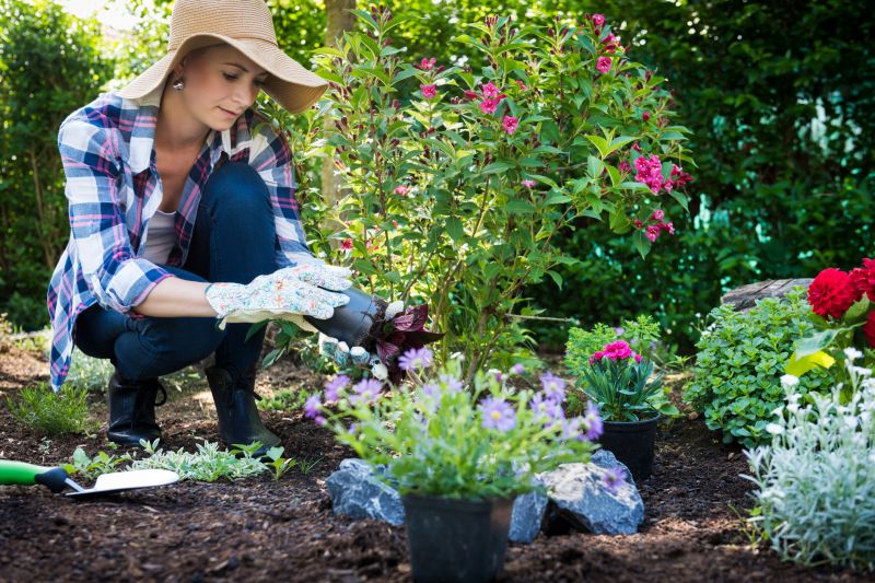 Planting Service in Ventura County, CA