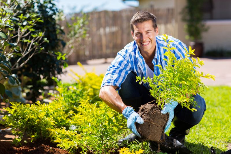 Privacy Shrub Planting in Honolulu, HI