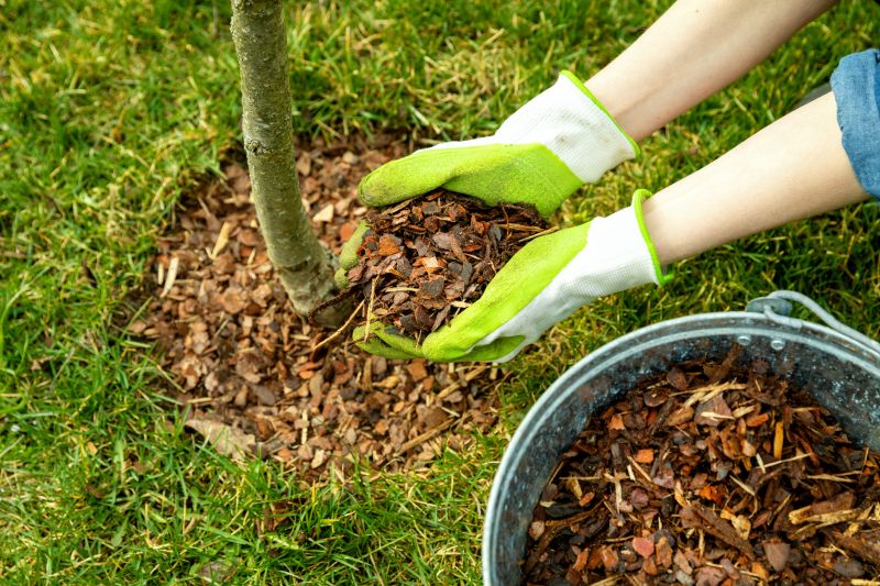 Residential Mulching in Honolulu, HI