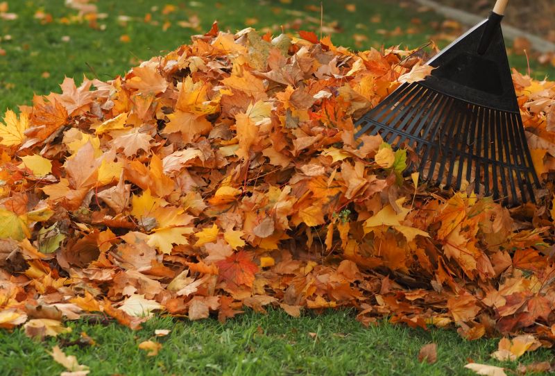 Seasonal Lawn Maintenance in Honolulu, HI