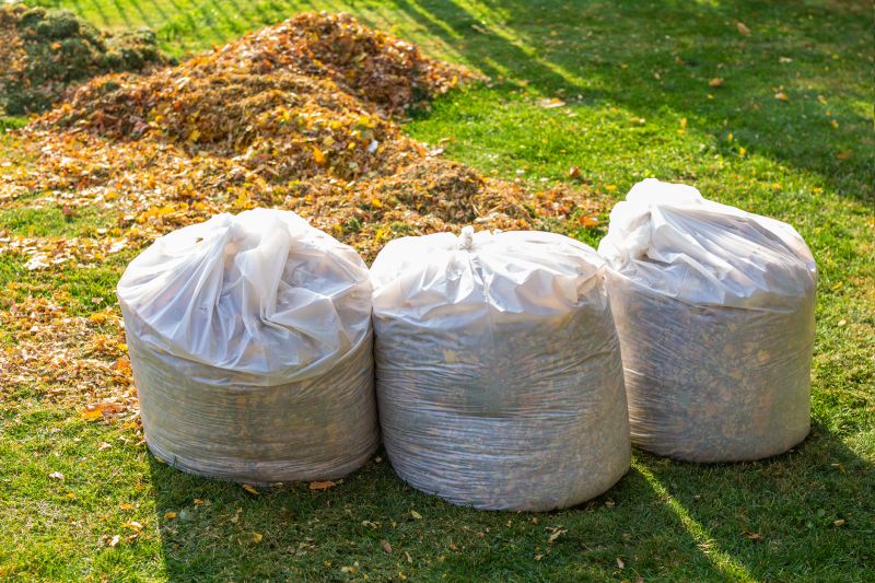 Seasonal Lawn Maintenance in Ventura County, CA