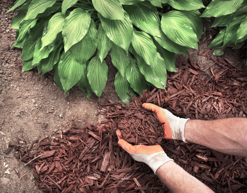 Shredded Mulch Installation in Honolulu, HI
