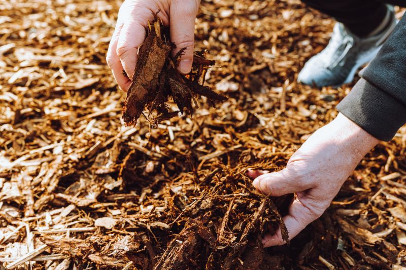 Shredded Mulch Service in Ventura County, CA