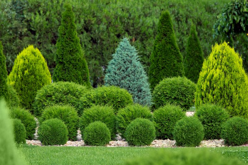 Shrub Landscaping in Ventura County, CA