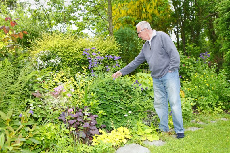 Shrub Landscaping in Ventura County, CA