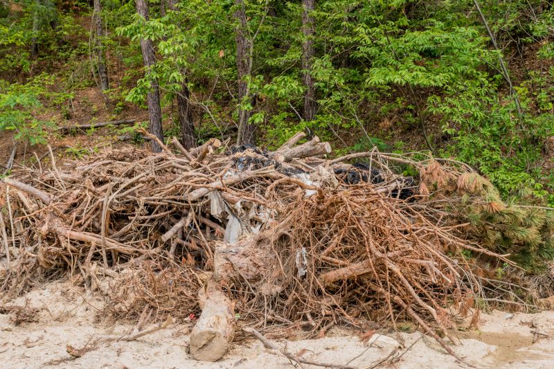 Tree Limb Cleanup in Ventura County, CA