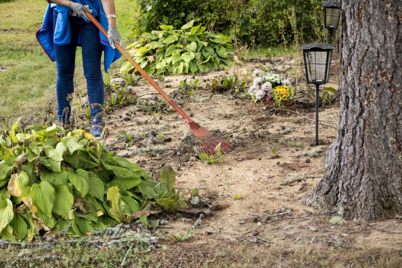 Who Does Brush Pickup Service