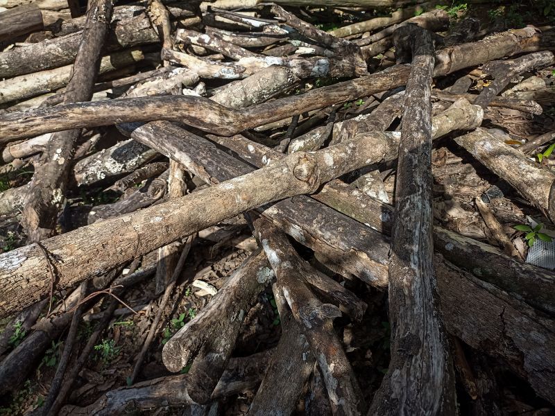 Wood Pile Removal in Ventura County, CA