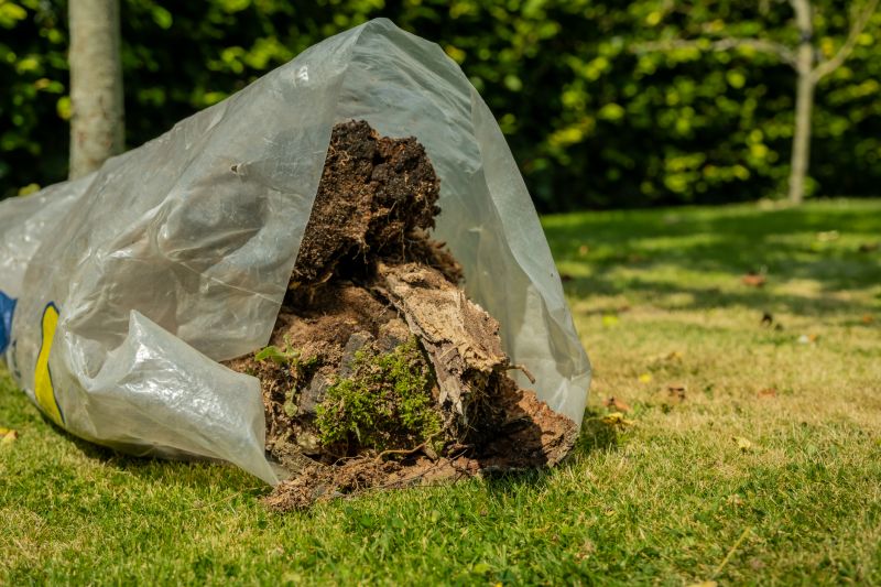 Yard Cleanup Service in Ventura County, CA