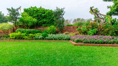 Keep Your Yard Clean!