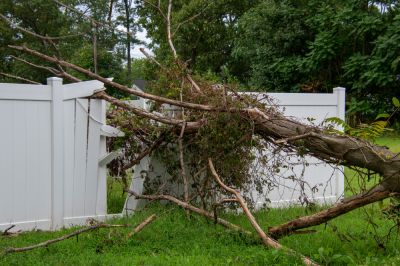 Remove Damage from Storms!