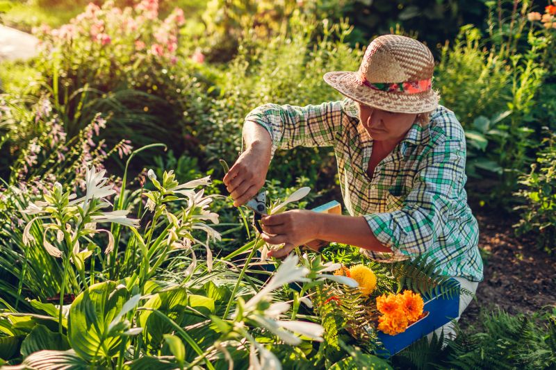 Honolulu, HI