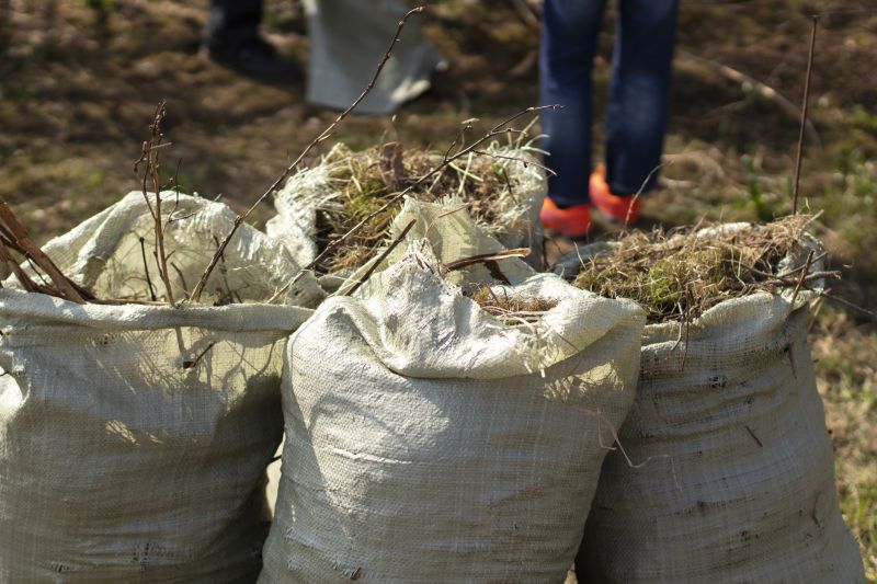 Contact About Brush Pickup Service