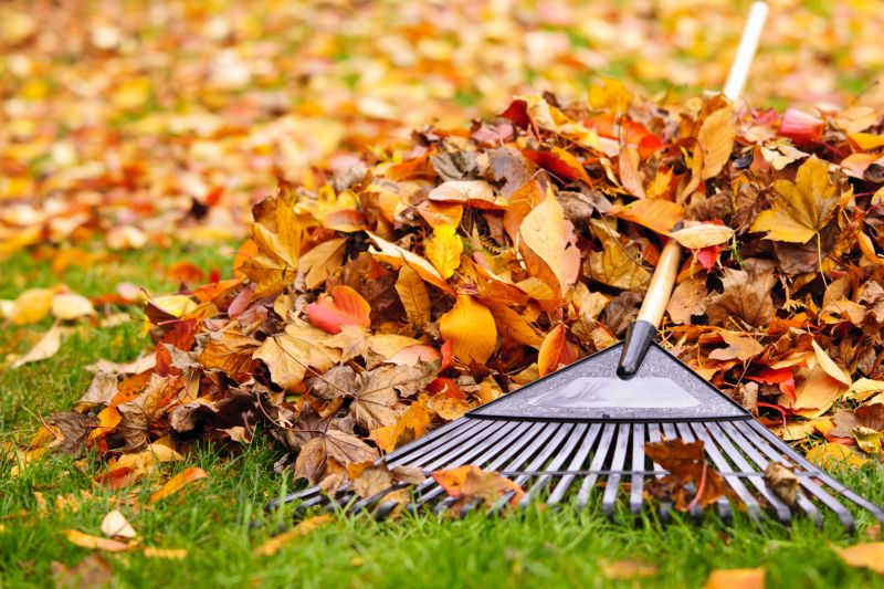 Fall Lawn Cleanup Service in Ventura County, CA