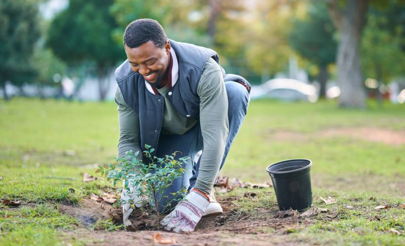 Garden Planting Service in Ventura County, CA
