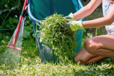 Seasonal Lawn Maintenance in Ventura County, CA