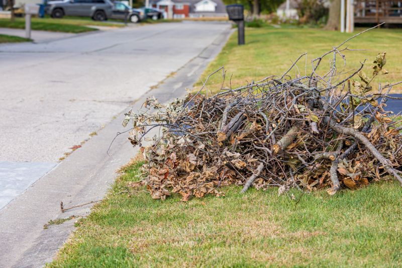 Tree Limb Cleanup in Honolulu, HI